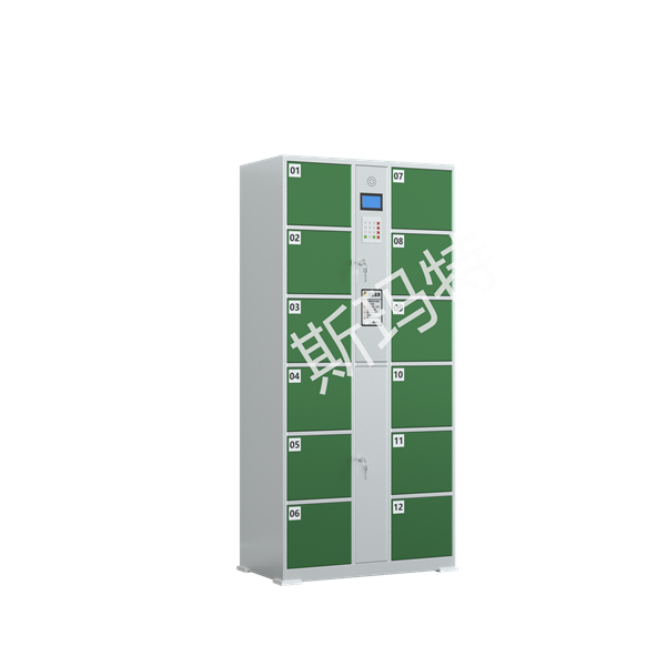 Intelligent storage cabinet with 12 doors